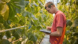 Customer spotlight: Vegetable breeding specialists Rijk Zwaan get 30+ subsidiaries on the same page with Bynder